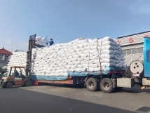 把握機(jī)遇、鉚足干勁、承勢而上